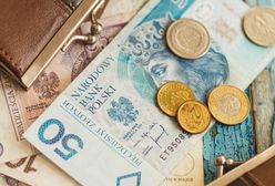 Polacy zarabiają tu lepiej niż na lokacie. Tyle uzbierał rekordzista