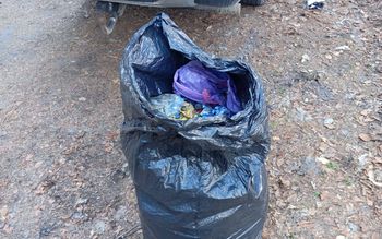 "Przedświąteczne porządki". Odkrycie w lesie. Dotarli do właścicielki