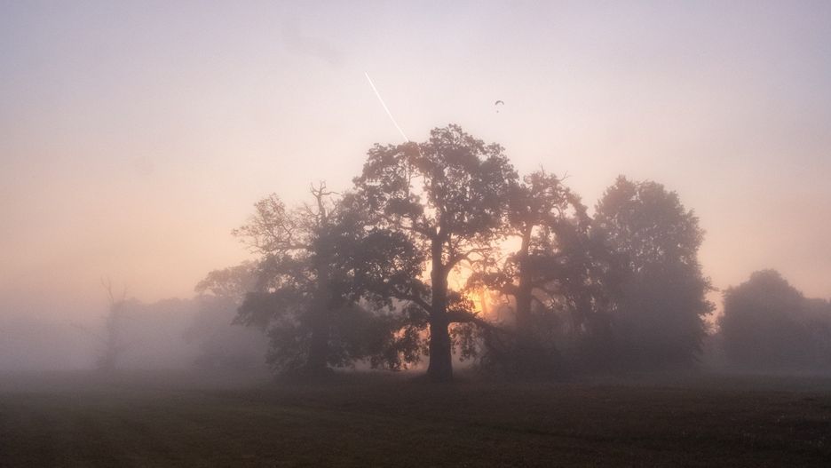 Park Krajobrazowy Puszcza Zielonka