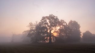 Tych miejsc z pewnością nie znałeś! To idealne miejsca na długi, jesienny spacer. Poznaj parki i rezerwaty, które zachwycają