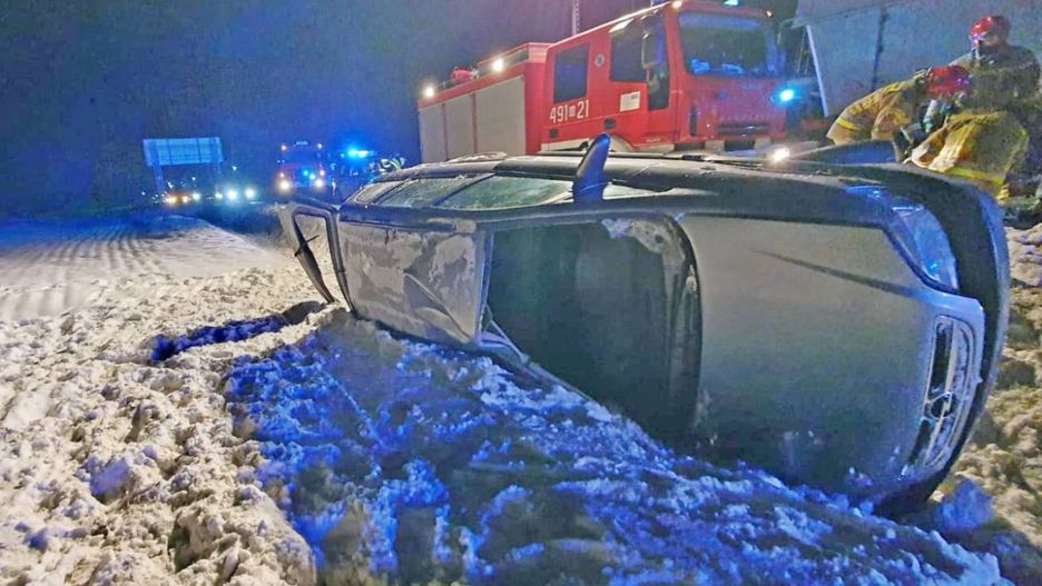 Przewoził oplem dwa cielaki. Doszło do wypadku 