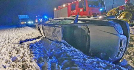 Przewoził oplem dwa cielaki. Doszło do wypadku