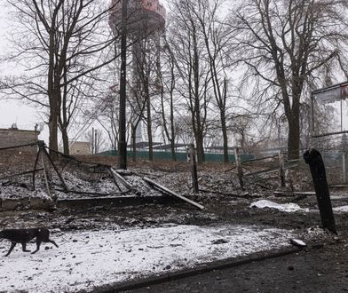 Porażająca relacja z Ukrainy. "Czuć zapach trupów"