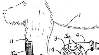 Czy to pies, czy odkurzacz? 1