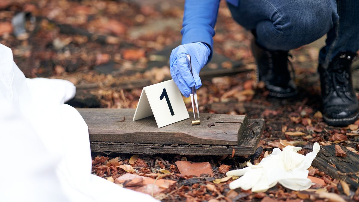 Krzyżówka o pracy detektywa