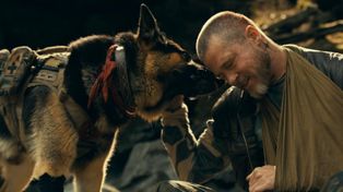 Brad Pitt walczy o życie. Ale to pies jest gwiazdą "W sercu dziczy" [RECENZJA]