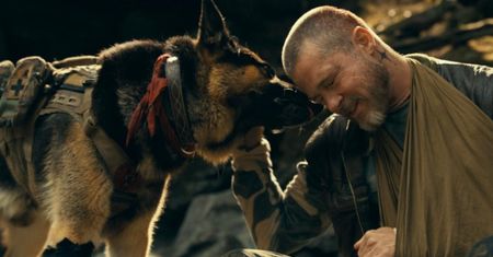 Brad Pitt walczy o życie. Ale to pies jest gwiazdą "W sercu dziczy" [RECENZJA]