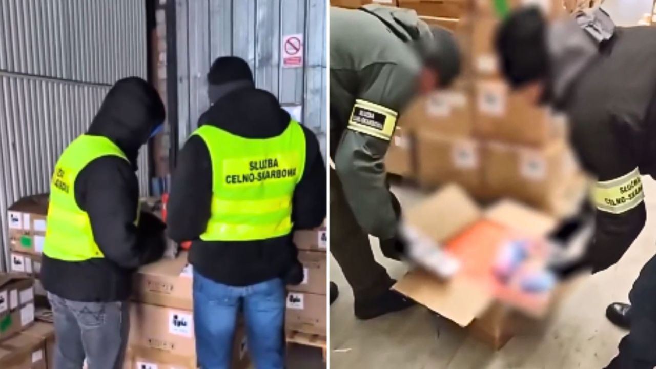 To miała być zwykła kontrola. Odkrycie postawiło służby na nogi