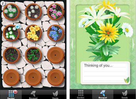 Tydzień na działce z iPhonem! 2