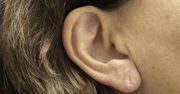Budowa ucha zewnętrznego, wewnętrznego i środkowego