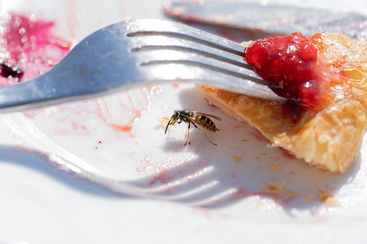 They are very intrusive and easy to swallow. Restaurateurs have their tricks to scare away wasps.