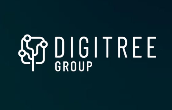 Digitree Group: przychody 24 proc. w górę, 3,8 mln zł zysku EBITDA