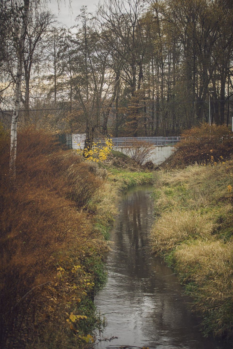 Piękne śląskie jezioro w złotej odsłonie. To już ostatnie chwile takiego koloru