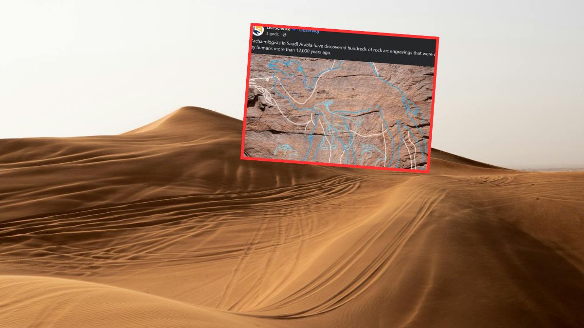  Monumentalne petroglify sprzed 12 tys. lat ujawniają życie na pustyni