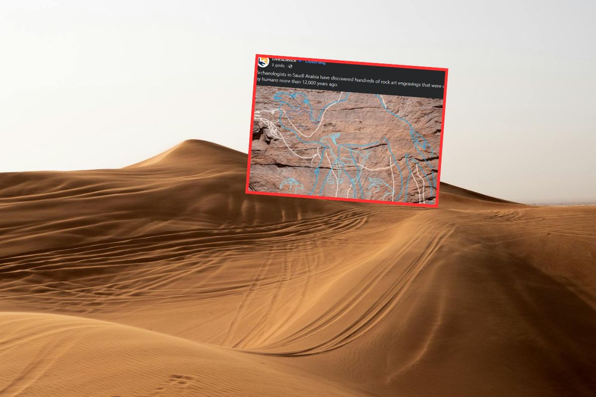 Odkrycie na pustyni. Miały służyć jako drogowskazy do wody