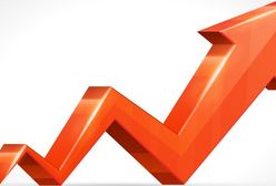 Szczurek: wzrost PKB w 2014 r. wyniesie 3,3 proc., a w 2015 r. 3,8 proc.