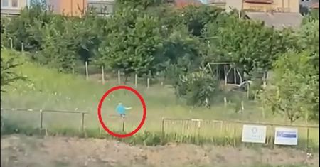 Tego jeszcze nie grali! Sędzia uciekł przez łąkę do lasu