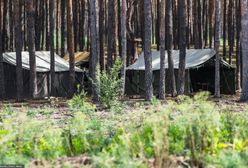 Związek harcerzy krytykuje opiekunów. "Nie są naszym standardem"