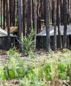 Związek harcerzy krytykuje opiekunów. "Nie są naszym standardem"