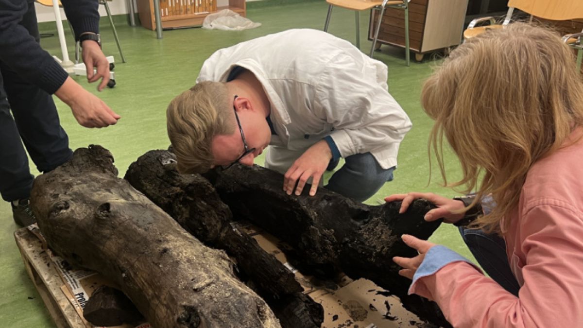 Ksylity trafiły do Uniwersytetu Gdańskiego