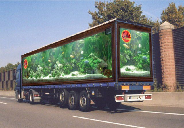 15 gigantycznych reklam na ciężarówkach - Photoshop vs. rzeczywistość 23