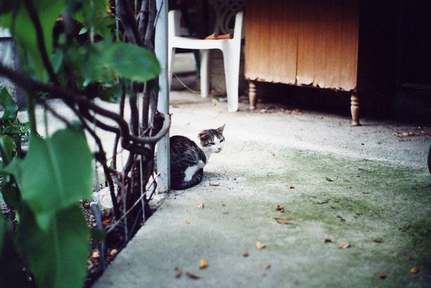 50 fotografii wykonanych klasycznym obiektywem 50 mm 10