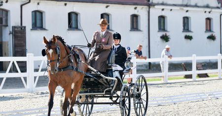 MAZOpiknik w Stadzie Ogierów w Łącku – święto rodziny, tradycji i dobrej zabawy!