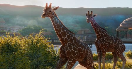 Planet Zoo wygląda świetnie - twórcy pokazali solidny gameplay