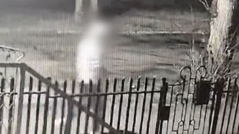 Chciał uśmiercić psy sąsiadów.