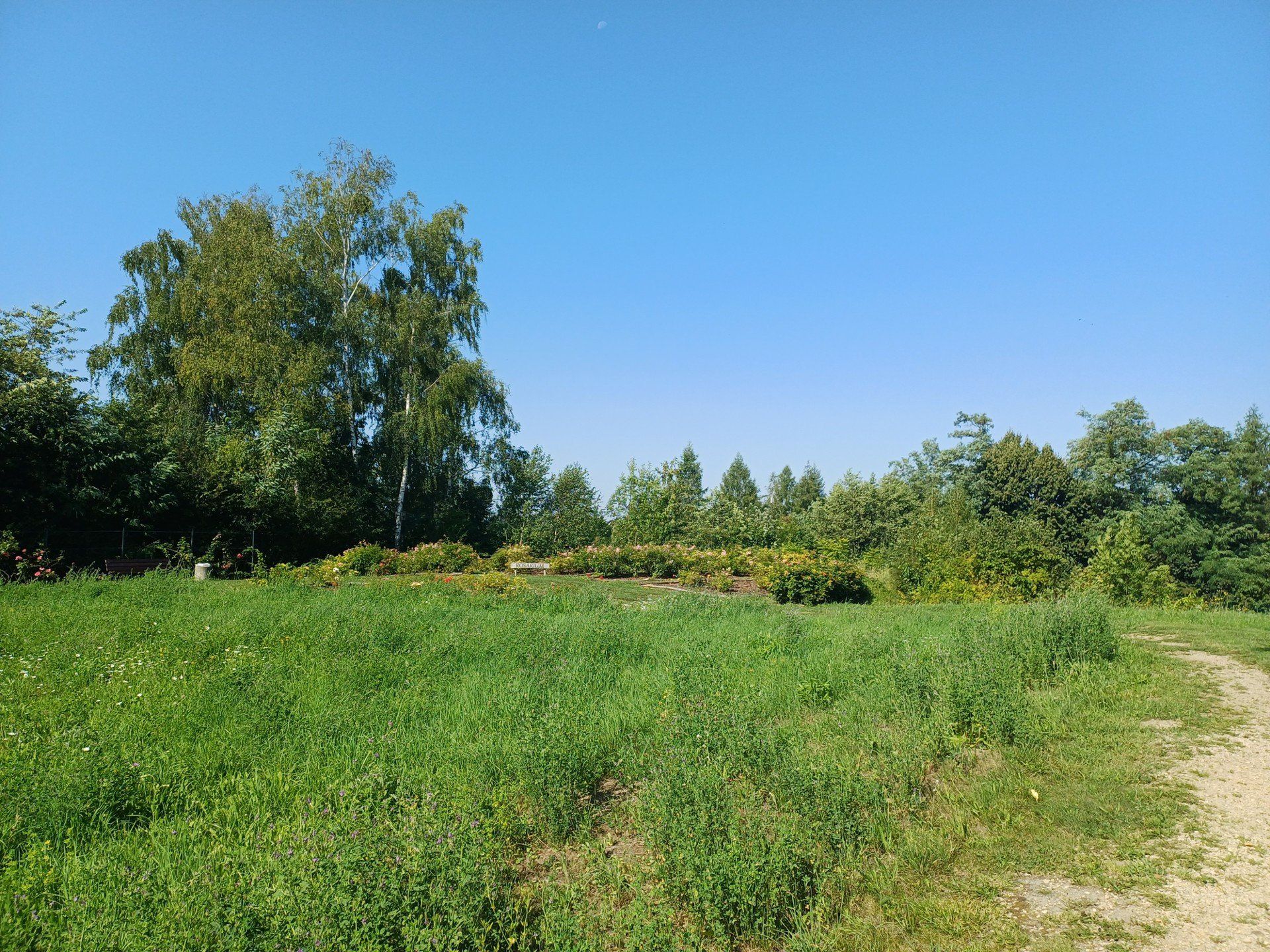 Śląski Ogród Botaniczny w Radzionkowie