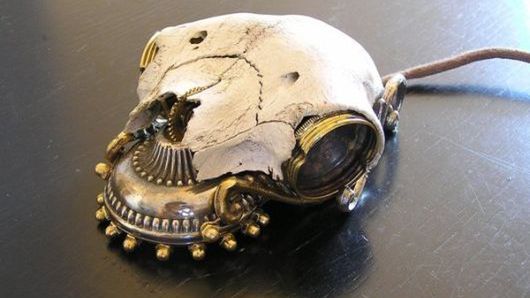 Myszka z owczej czaszki 1