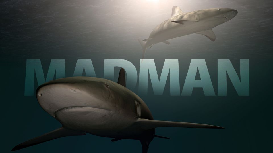 Syn Kadafiego kazał zbudować statek z wielkim akwarium pełnym rekinów 1