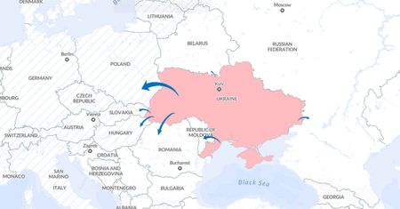 Ukraińcy zabrali głos. Takie plany ma 79 proc. uchodźców