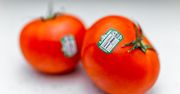 Nie wyrzucaj naklejki z pomidora. Zdziwi Cię jej nietypowe zastosowanie