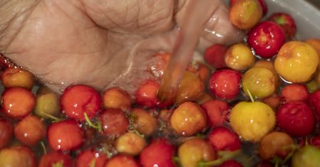 Tarcza antynowotworowa. 100 gramów ma tyle witaminy C co kilogram cytryn