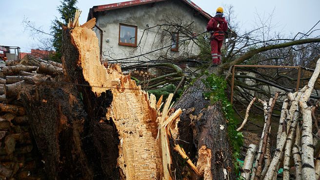 Energetycy naprawiają zerwaną linię elektryczną w Rumi