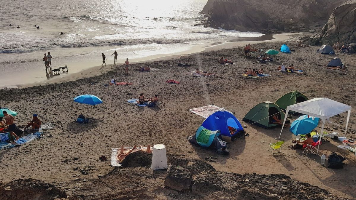 Hiszpańskie plaże są przyjazne pupilom