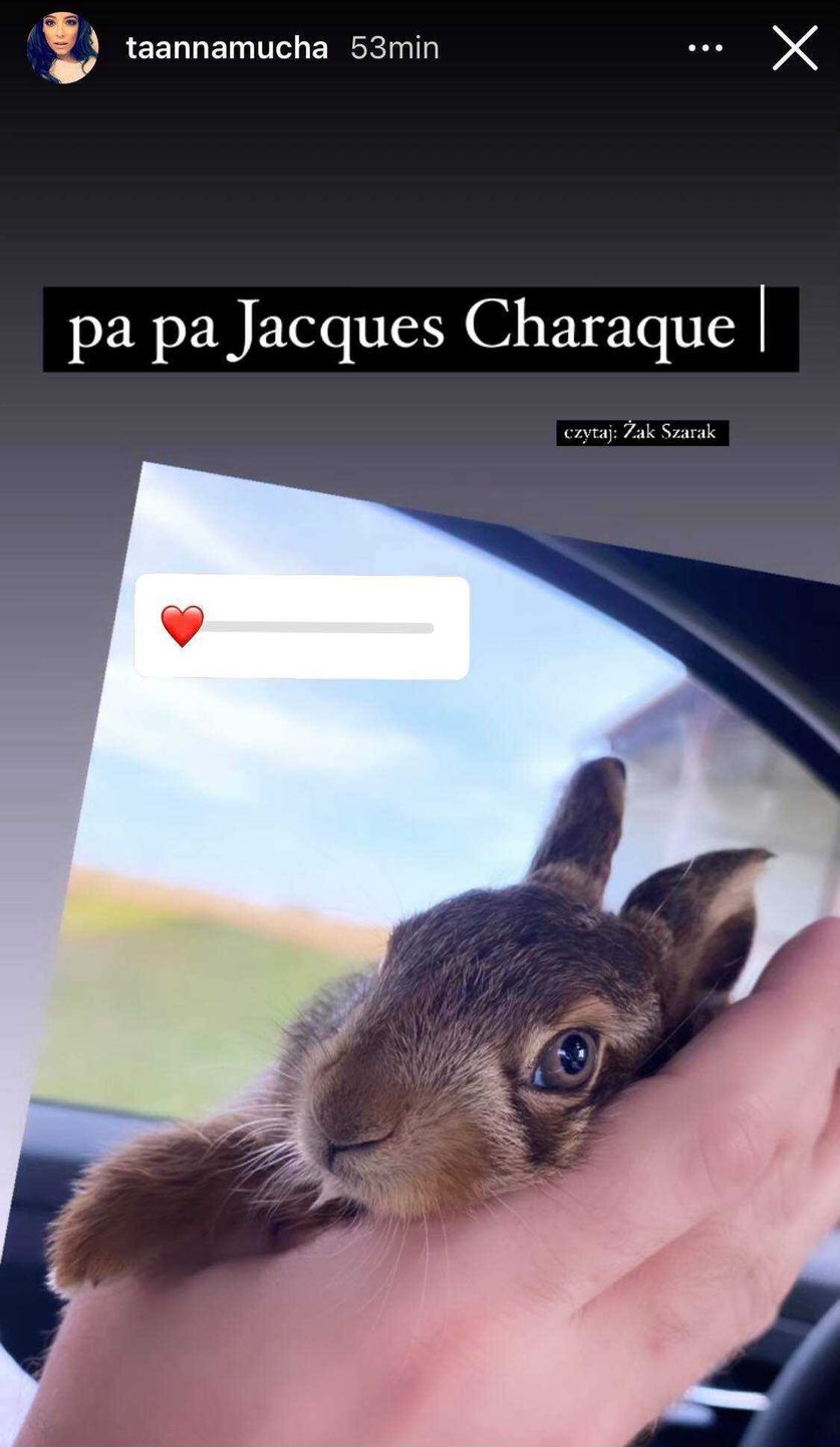 Anna Mucha ratuje zająca