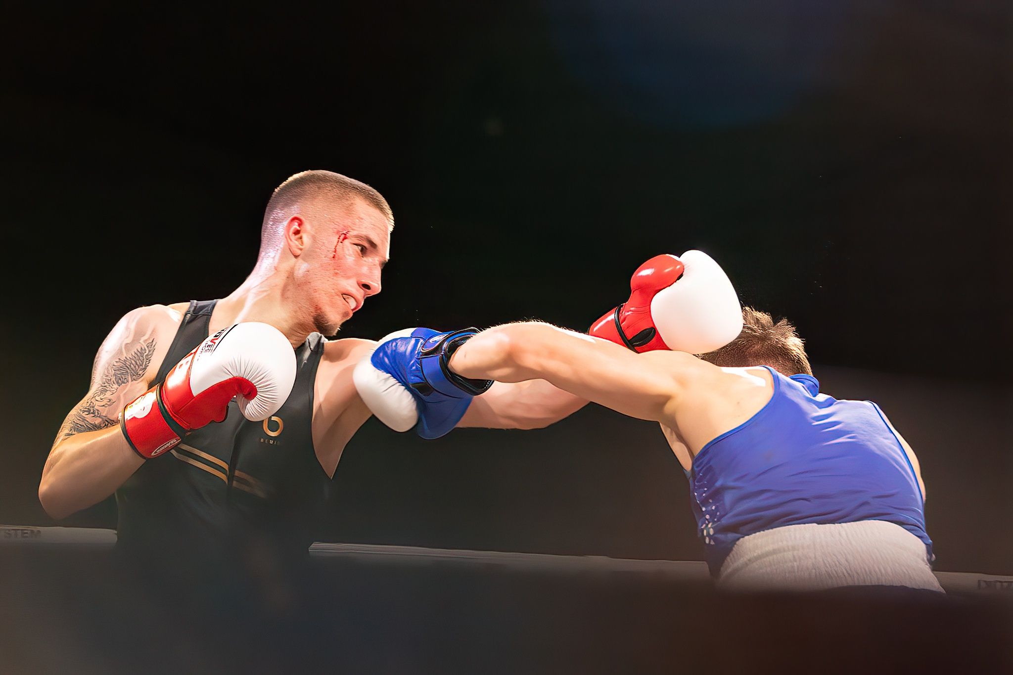 Polska Liga Boksu Pomorzanin Boxing Team - Imperium Wałbrzych