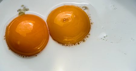 Szczegół, który ma znaczenie. Takie jajka są najzdrowsze