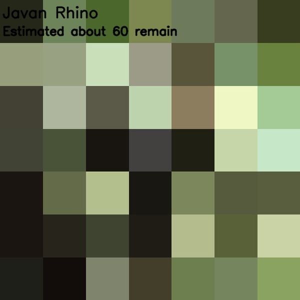 418155028773164914