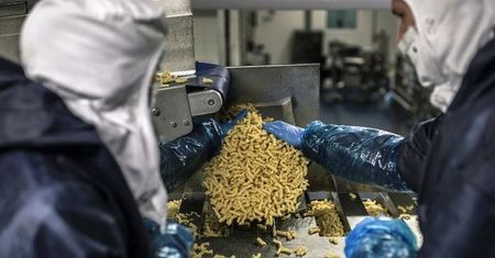 Opole: Pasta Food rozpoczyna inwestycję za 80 mln zł