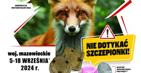Jesienna akcja szczepień ochronnych lisów wolno żyjących przeciwko wściekliźnie