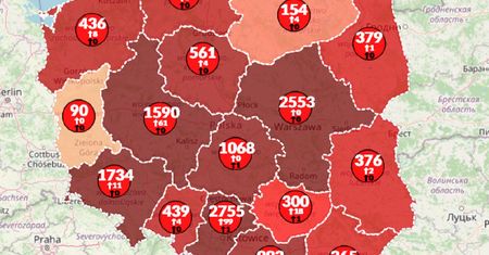 Koronawirus w Polsce. Już 700 ofiar śmiertelnych. Ponad 250 tys. zgonów na świecie [Mapa]