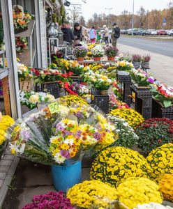 Wszystkich Świętych 2023. "Ceny stroików ostro pójdą w górę"