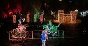 Poznań: Powraca Lumina Park. Jak najlepiej tam dojechać?