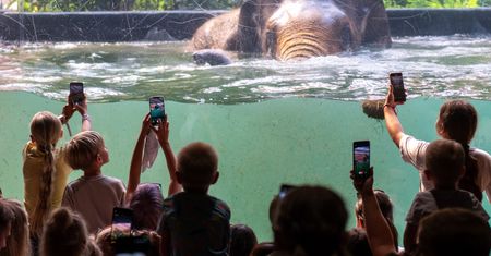Tłumy w zoo w Łodzi. "To mega frekwencja"