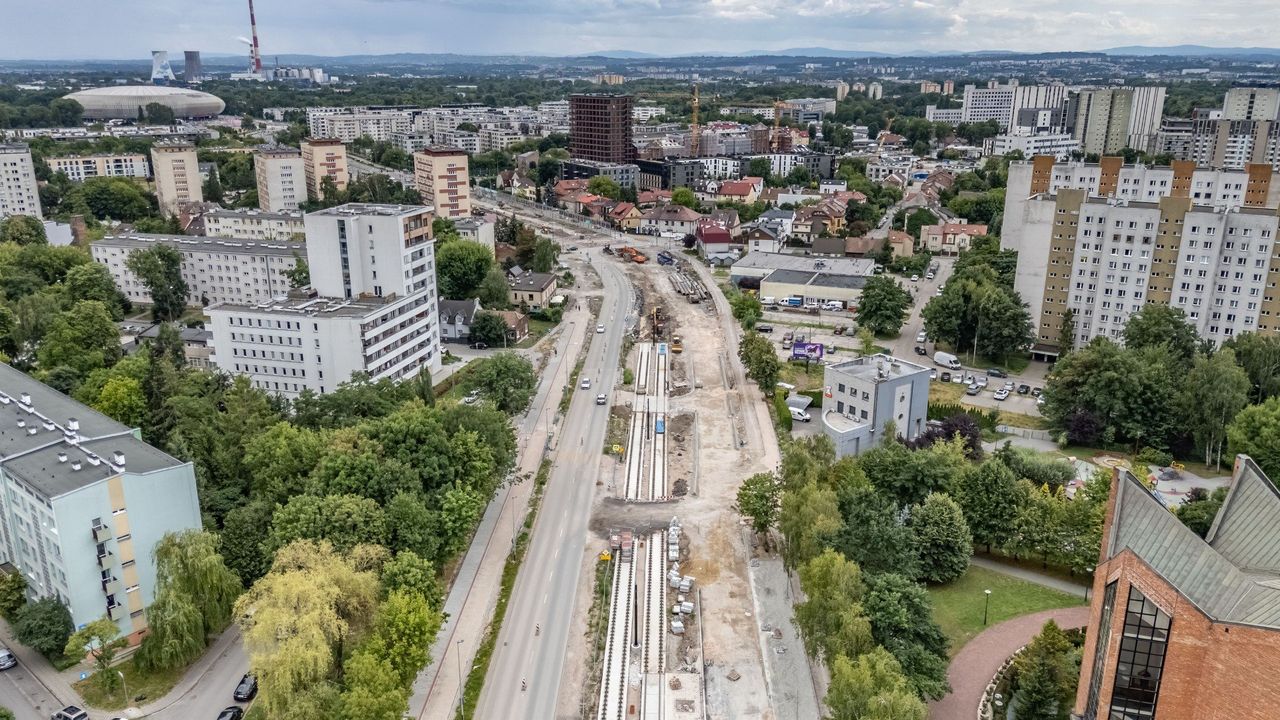 Długa lista roślin do nasadzenia wzdłuż budowanej nowej krakowskiej linii tramwajowej do Mistrzejowic
