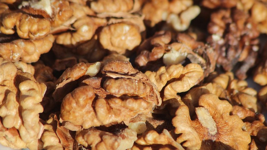 Jak na nasz organizm działają orzechy włoskie?