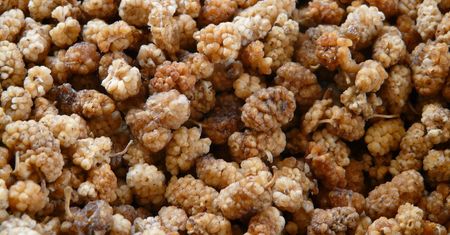 Koniecznie posadź w ogródku. Działa antyrakowo, wymiata cholesterol i trójglicerydy jak szczotka